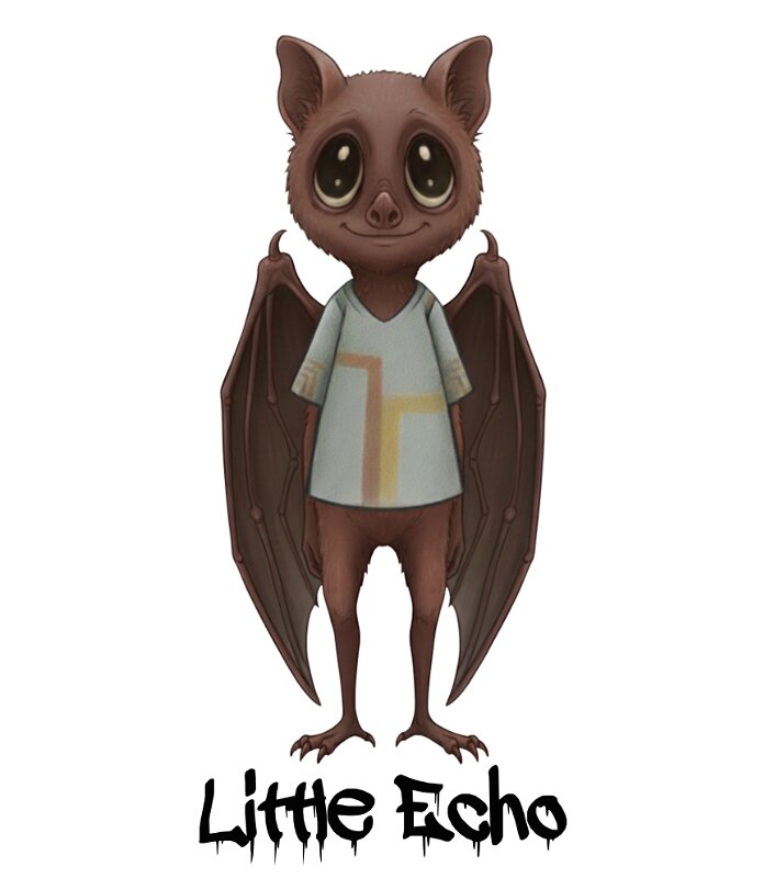 Little Echo_result