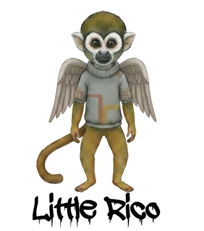 Little Rico_result