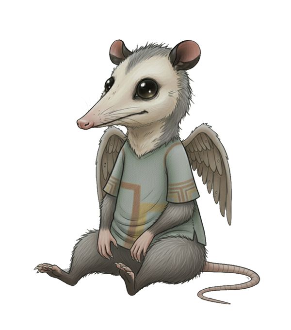 Book 4 - Page 1 front